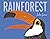 Rainforest by Julia Groves
