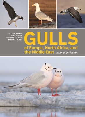Gulls of Europe, North Africa, and the Middle East: An Identification Guide (Paperback)