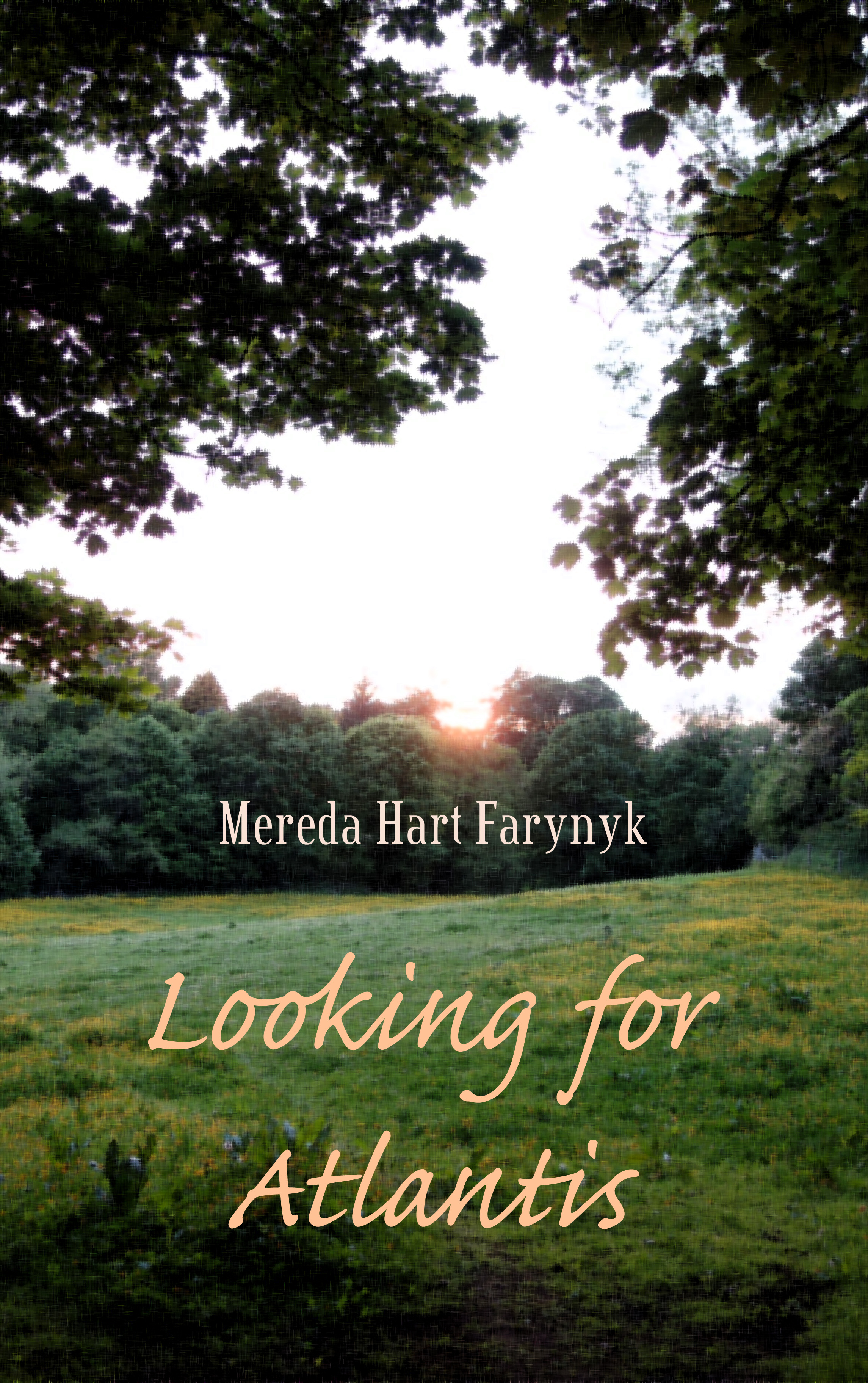 Looking for Atlantis (Kindle Edition)