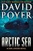 Arctic Sea (Dan Lenson, #21)