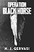 Operation Black Horse