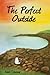 The Perfect Outside by Rohit Trilokekar