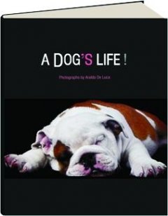 A Dog's Life! (Hardcover)