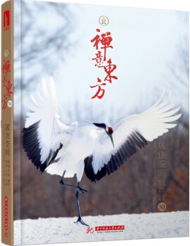 禅意东方. XI, 居住空间 = Feel the Eastern Zen style. XI, Living space / 黄滢, 马勇主编 ; 欧朋文化策划