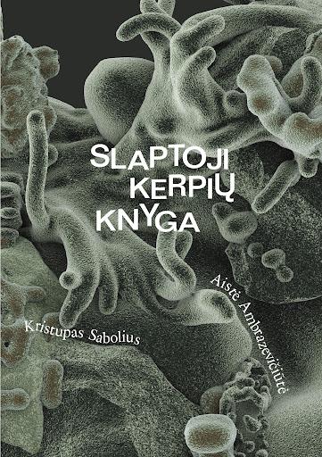 Slaptoji kerpių knyga (Paperback)