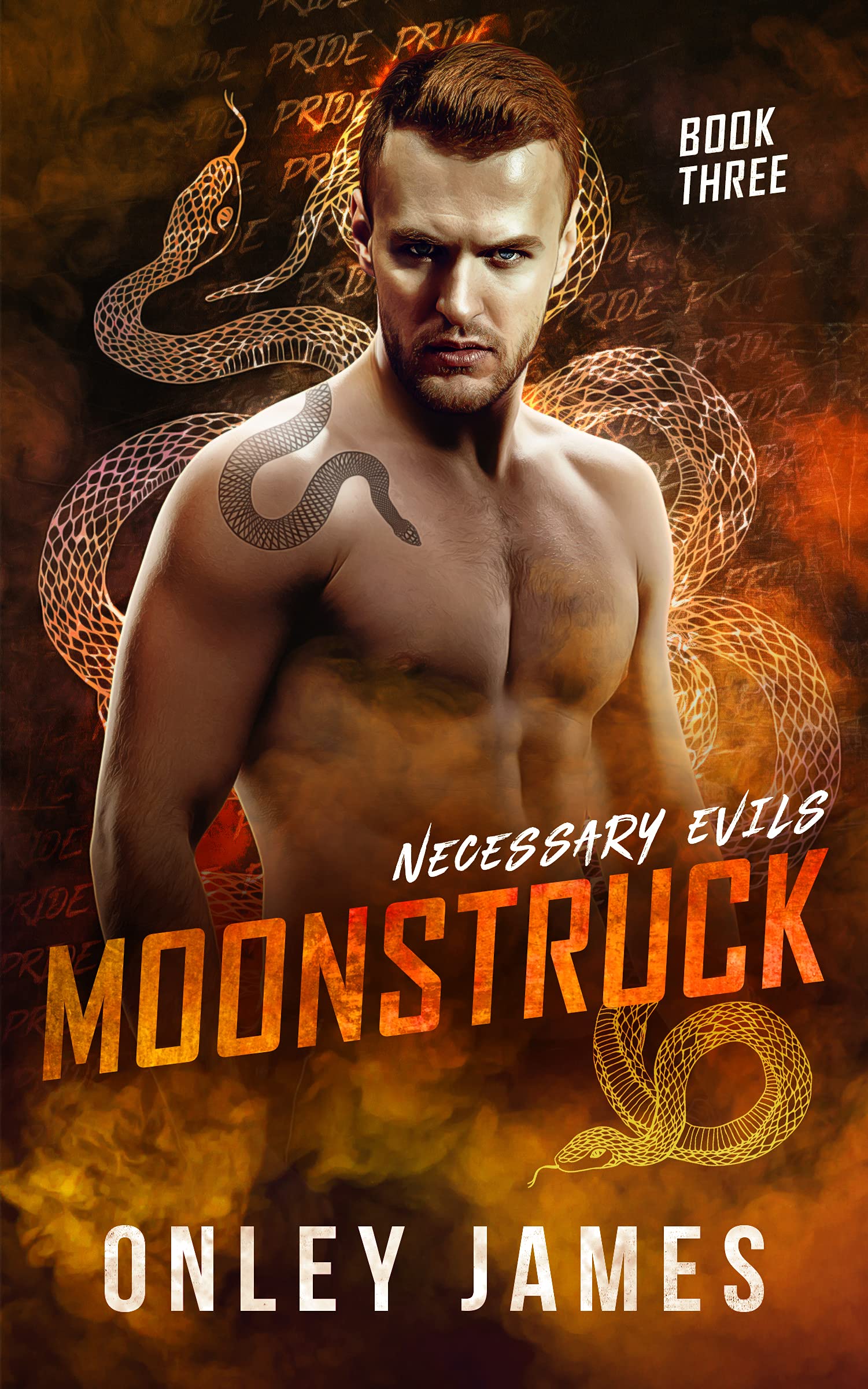 Moonstruck (Necessary Evils, #3)