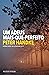 Um Adeus Mais-Que-Perfeito by Peter Handke