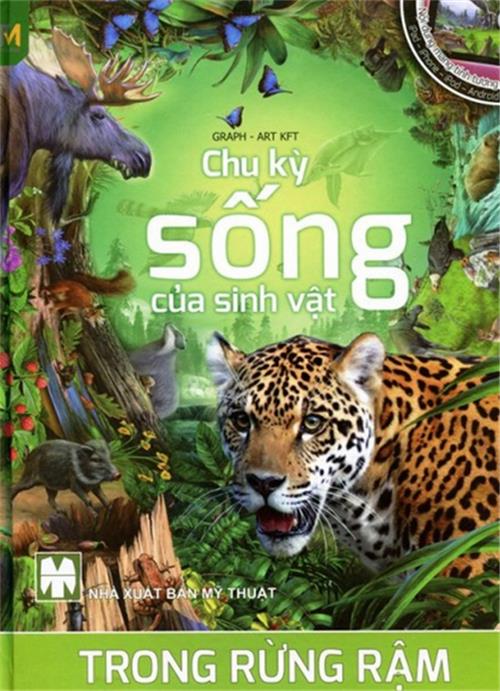 Chu Kỳ Sống Của Sinh Vật Trong Rừng Rậm