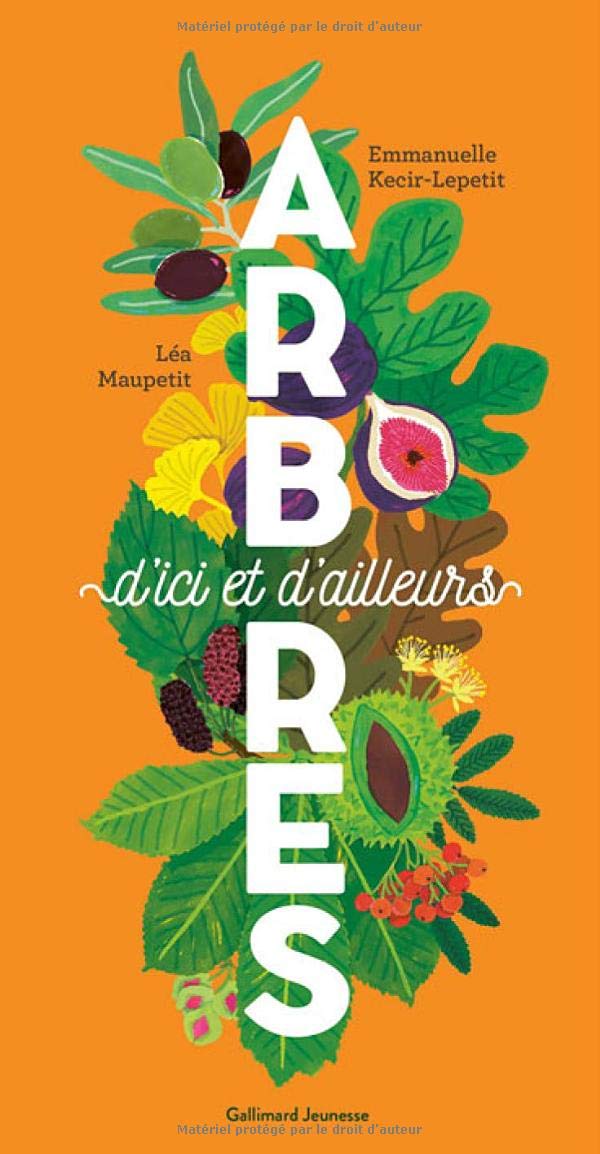 Arbres d'ici et d'ailleurs (Paperback)