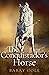 The Conquistador's Horse: A...