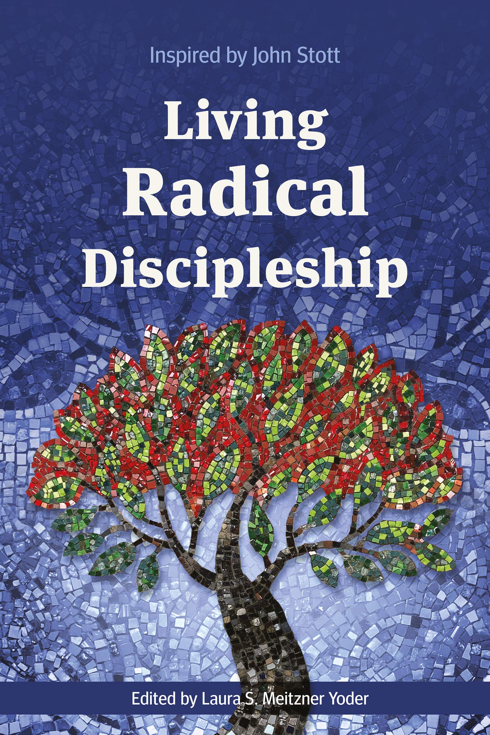 Living Radical Discipleship: Inspired by John Stott (Kindle Edition)