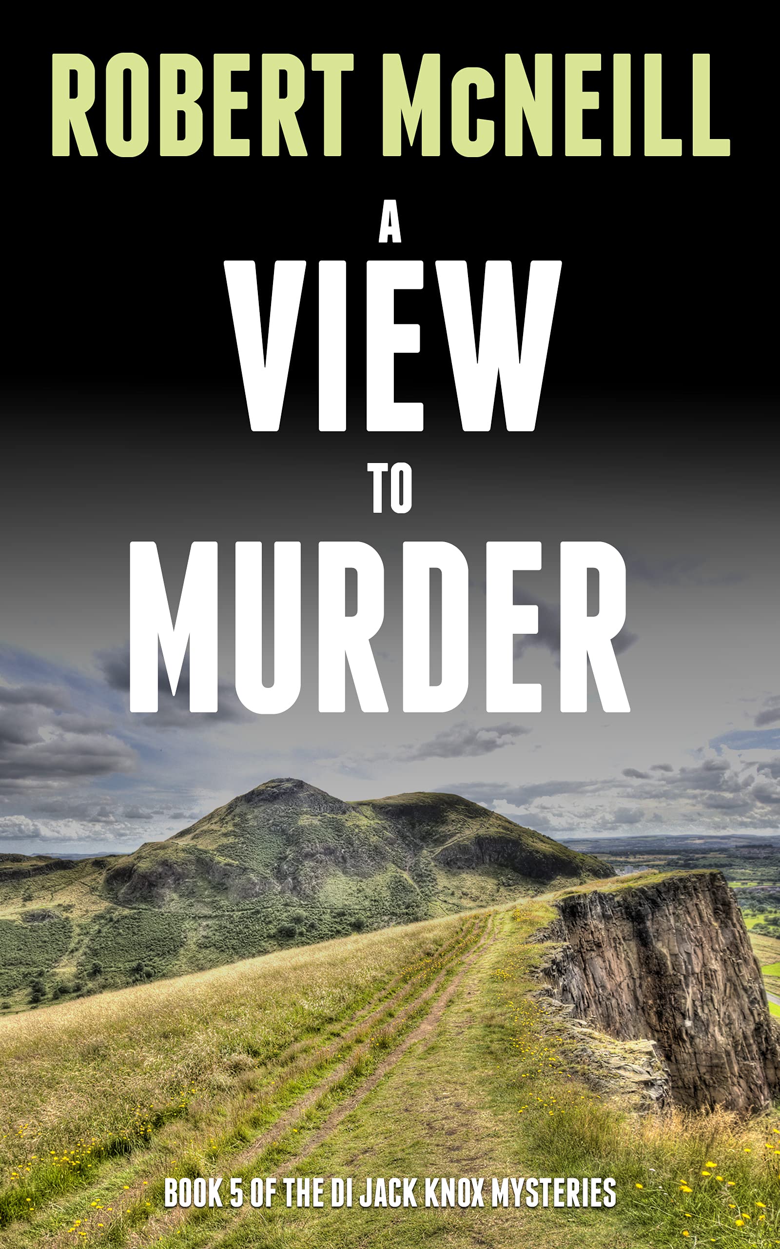 A View to Murder (The DI Jack Knox Mysteries #5)