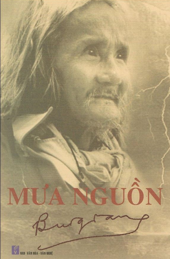 Mưa nguồn