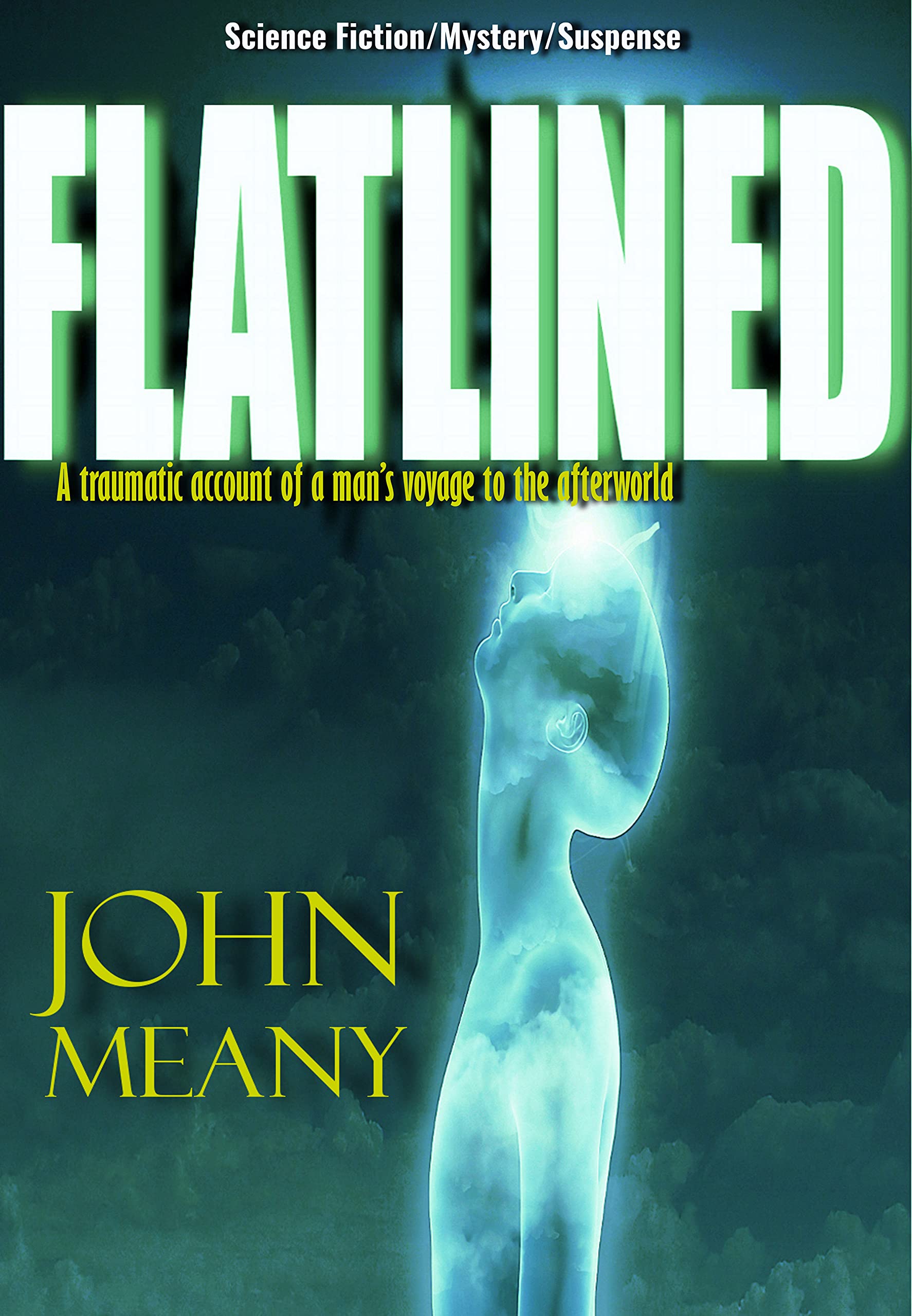 Flatlined (Kindle Edition)