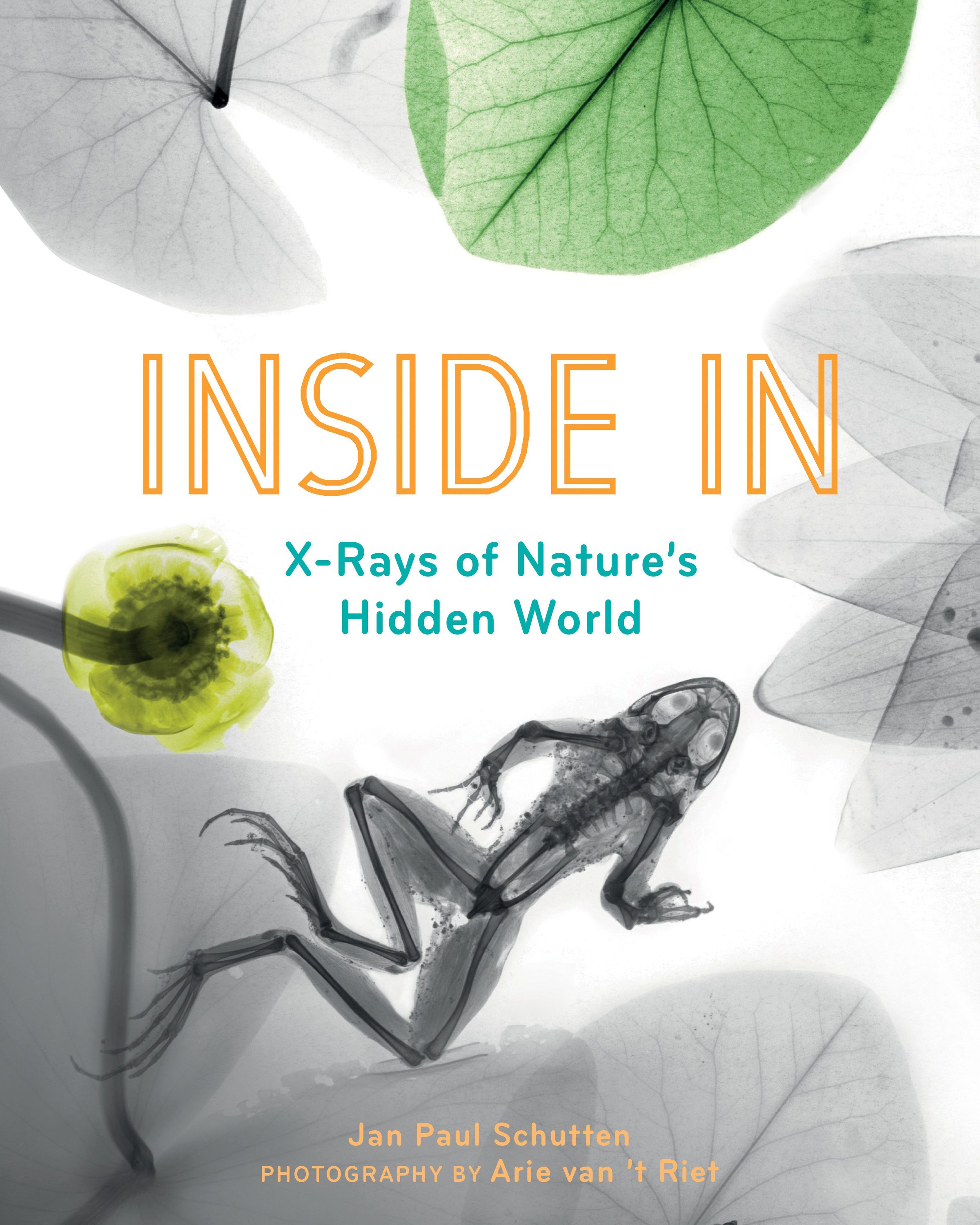 Inside In: X-Rays of Nature's Hidden World (Hardcover)