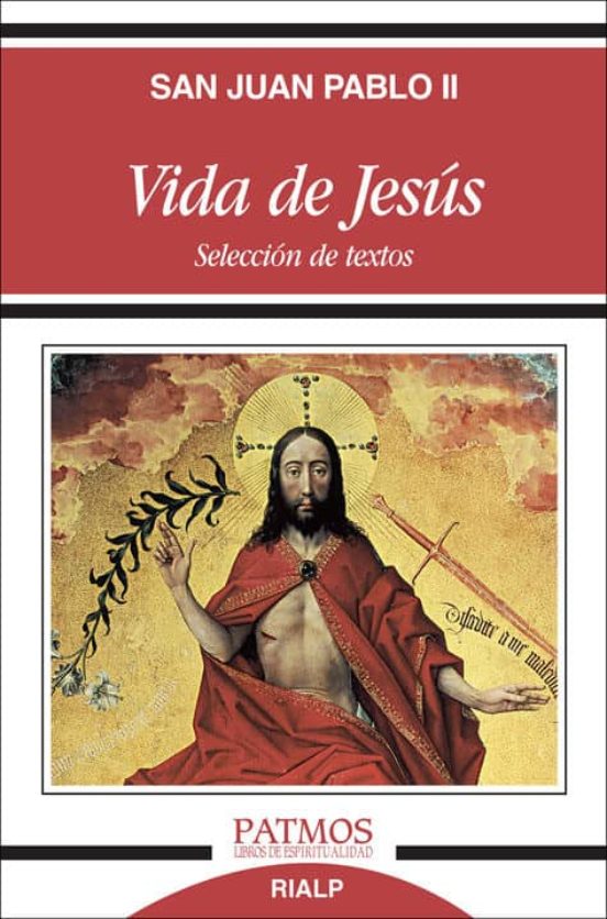 Vida de Jesús (Paperback)