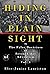 Hiding In Plain Sight by Elce-Junior Lauriston