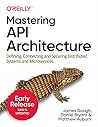 Mastering API Arc...