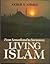 Living Islam by Akbar Ahmed