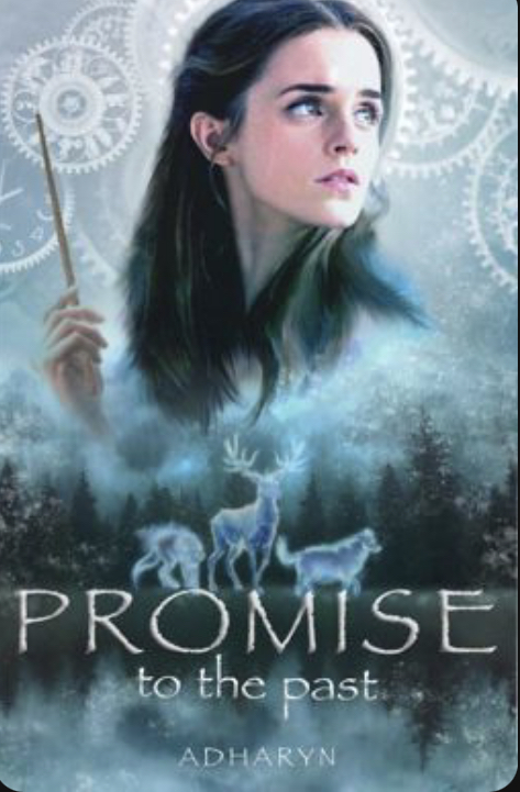 Promise to the Past (ebook)
