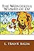 The Wonderful Wizard of OZ: a claasics 100th anniversary illustrated edition