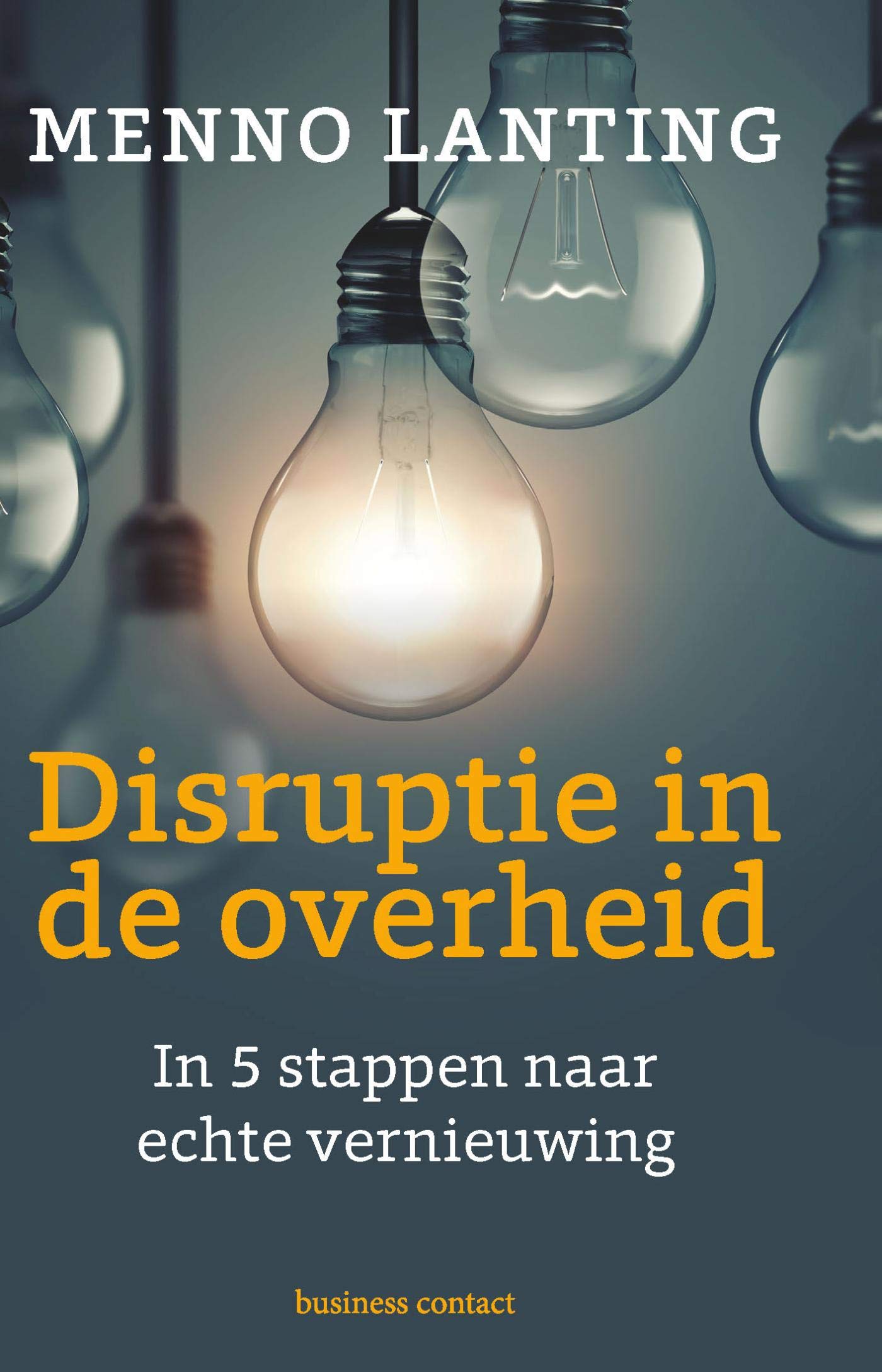 Disruptie in de overheid (Dutch Edition)