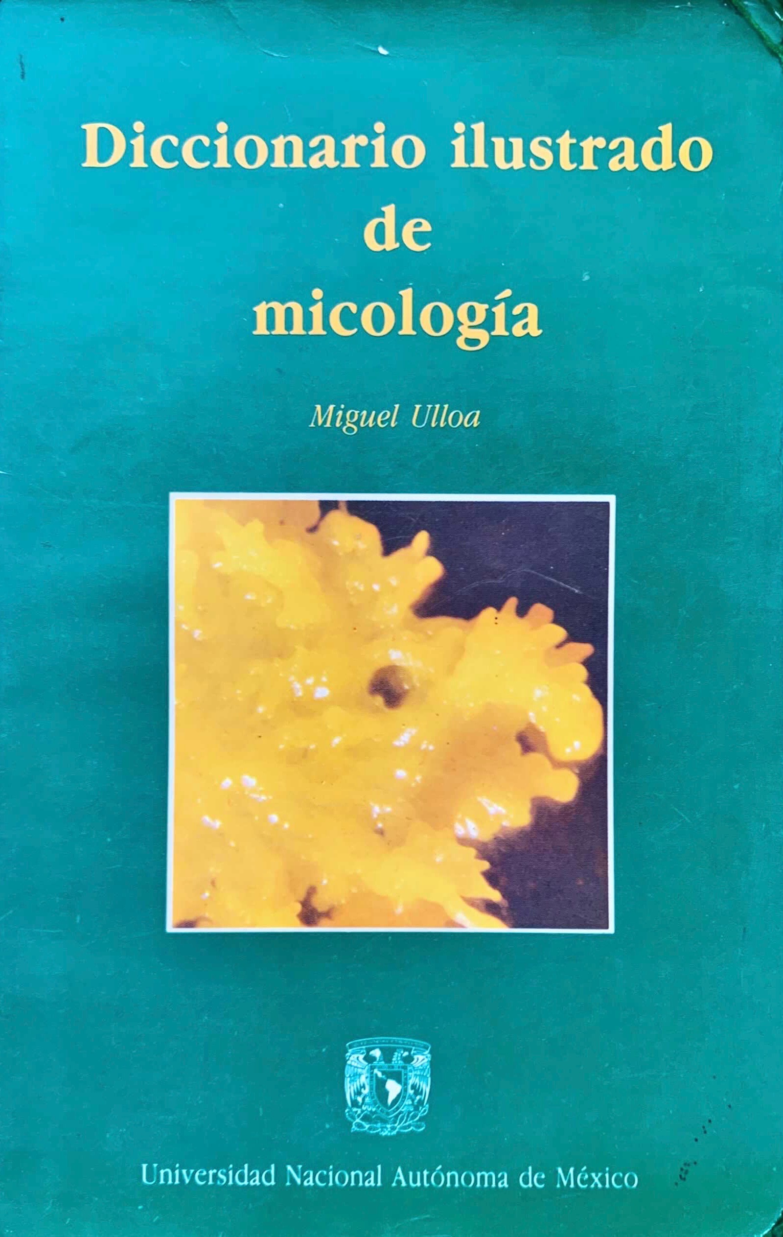 Diccionario ilustrado de micología (Paperback)