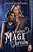 Stolen Mage Bride (Stolen Brides of the Fae, #2)