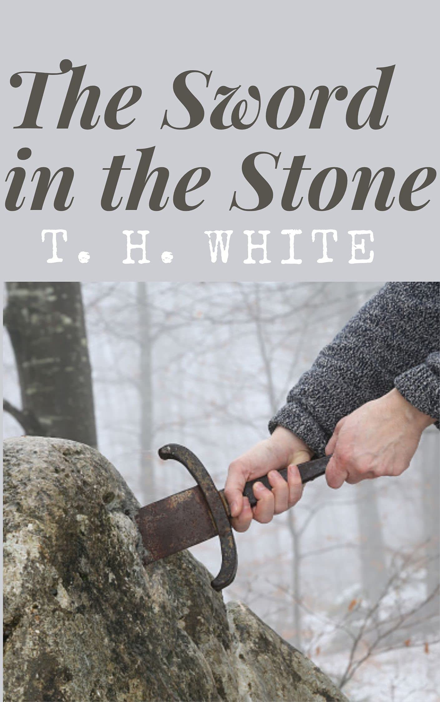 The Sword in the Stone