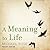 A Meaning to Life (The Philosophy in Action Series)
