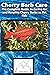 Cherry Barb Care: The Compl...