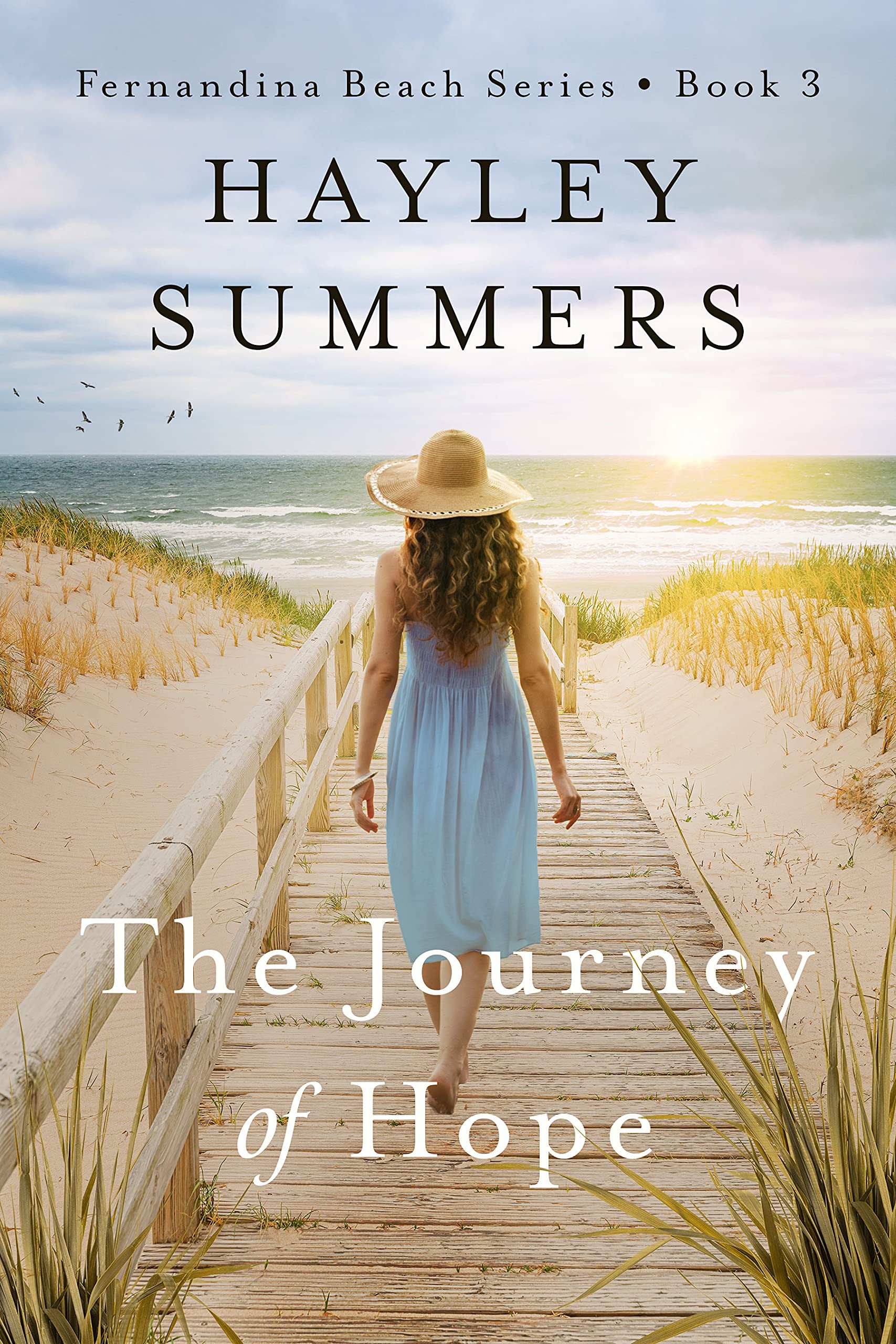The Journey Of Hope 3 (Fernandina Beach #3)