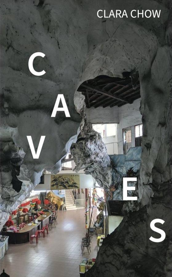 Caves (Paperback)