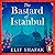 The Bastard of Istanbul