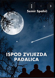 Ispod zvijezda padalica