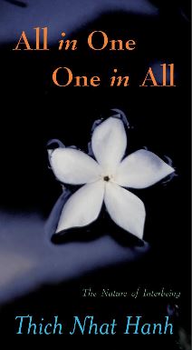 All in One, One in All: The Nature of Interbeing (Paperback)