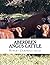 Aberdeen Angus Cattle: The ...