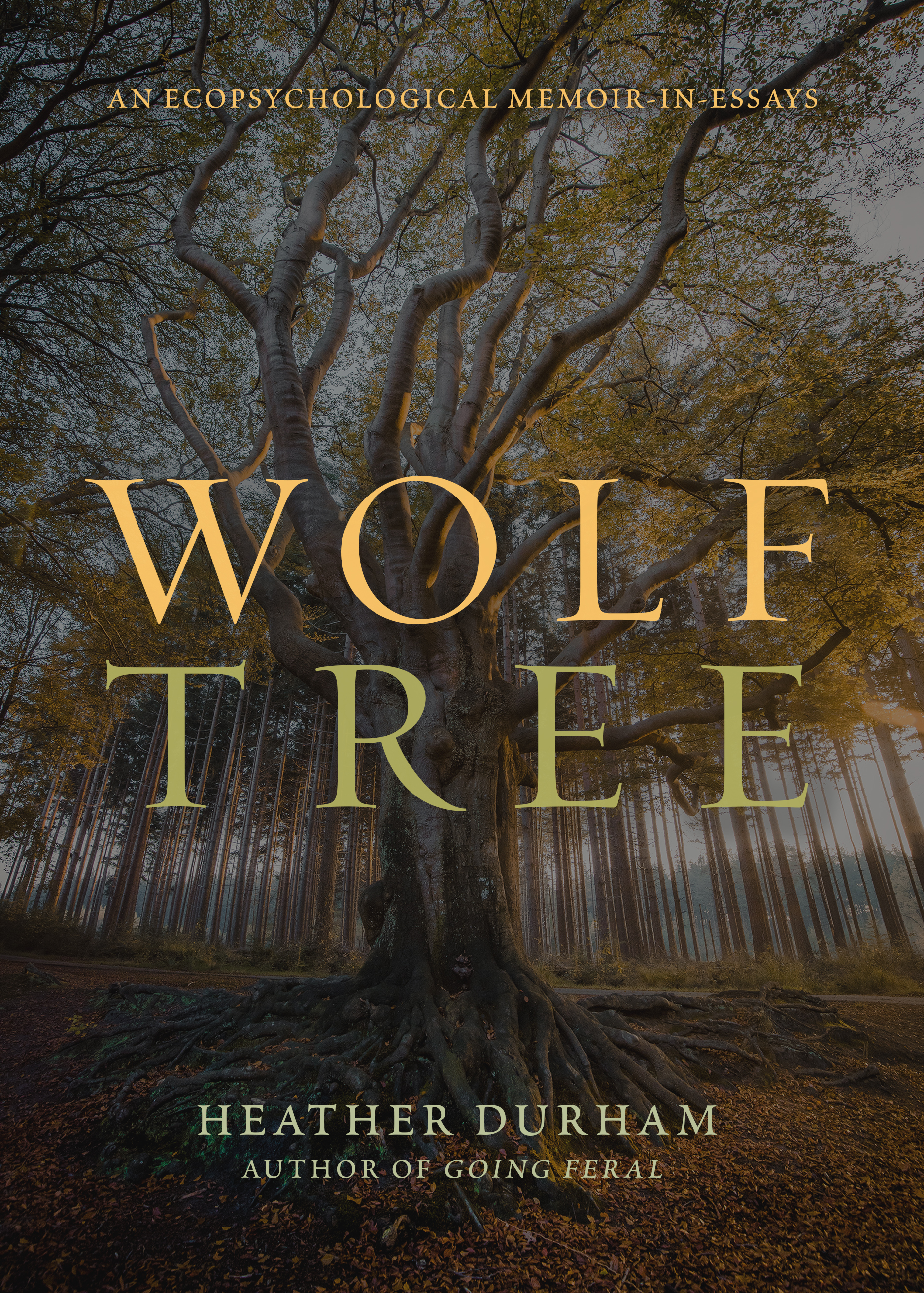 Wolf Tree: An Ecopsychological Memoir In Essays