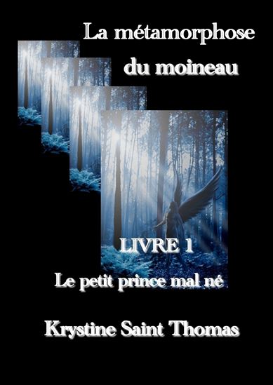 La métamorphose du moineau, tome 1 : Le petit prince mal né