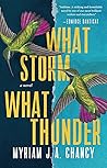 Book cover for What Storm, What Thunder