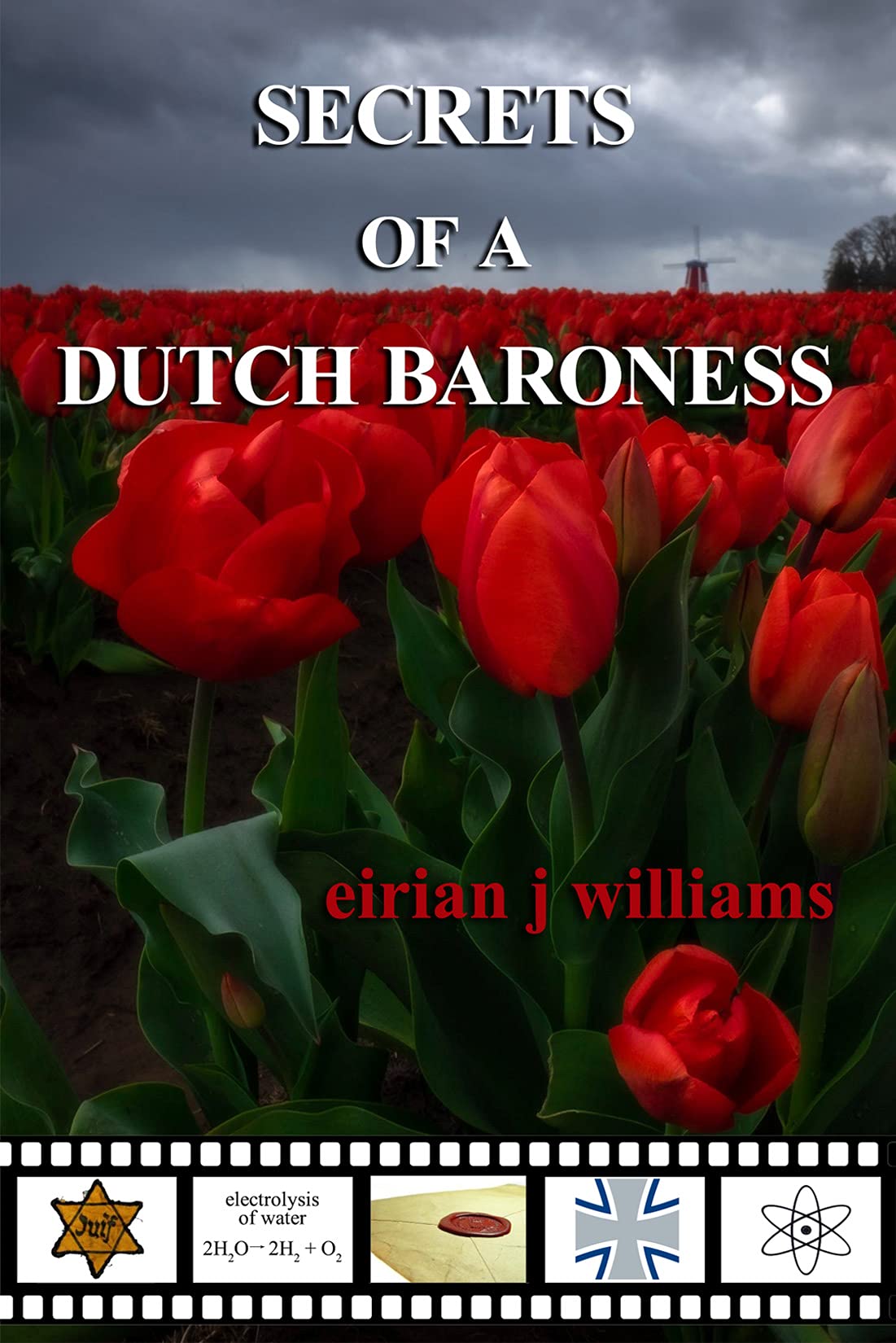 Secrets of a Dutch Baroness (Kindle Edition)