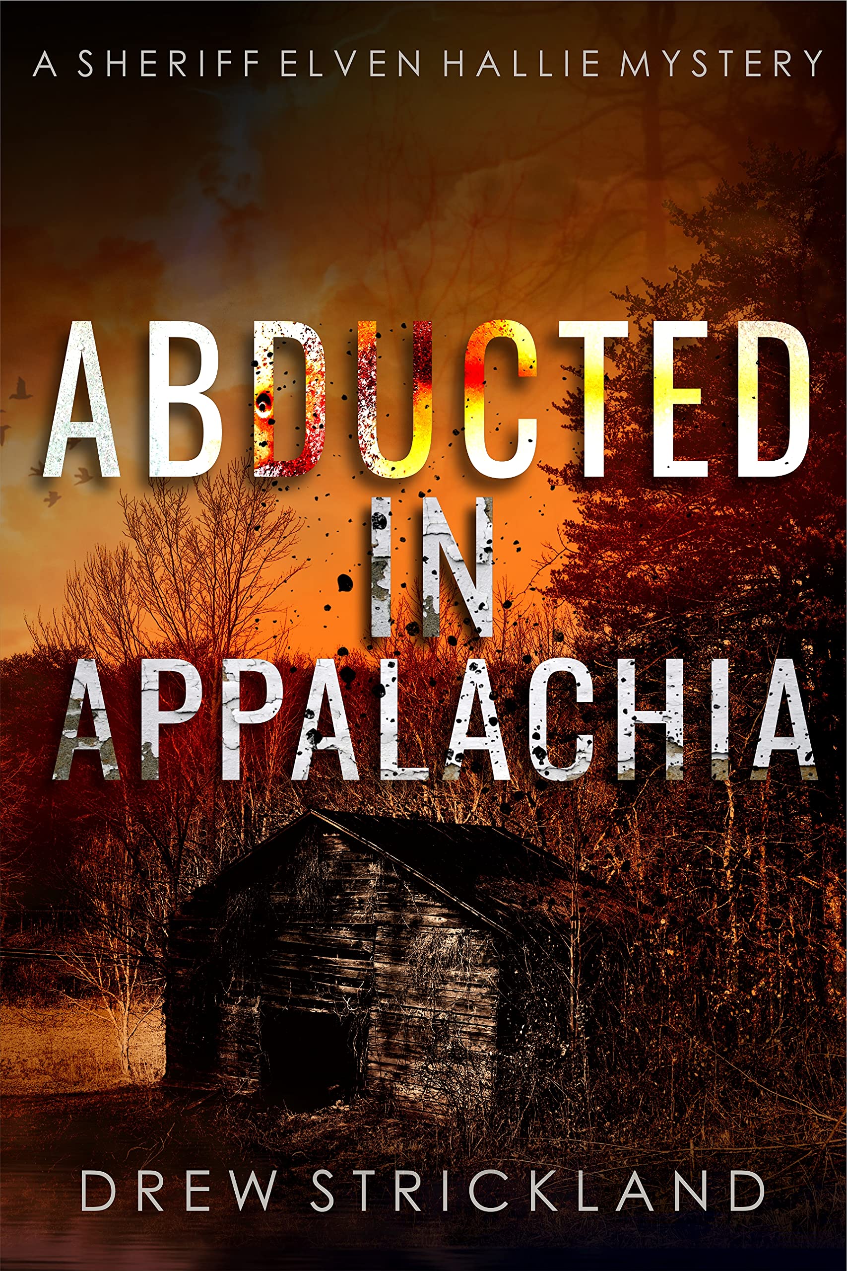 Abducted in Appalachia (Sheriff Elven Hallie, #4)