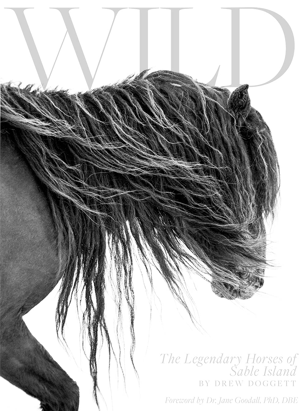 Wild: The Legendary Horses of Sable Island (Hardcover)