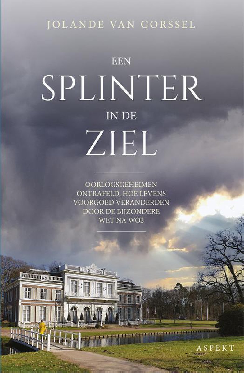 Een splinter in de ziel (Paperback)