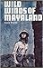 Wild Winds of Mayaland