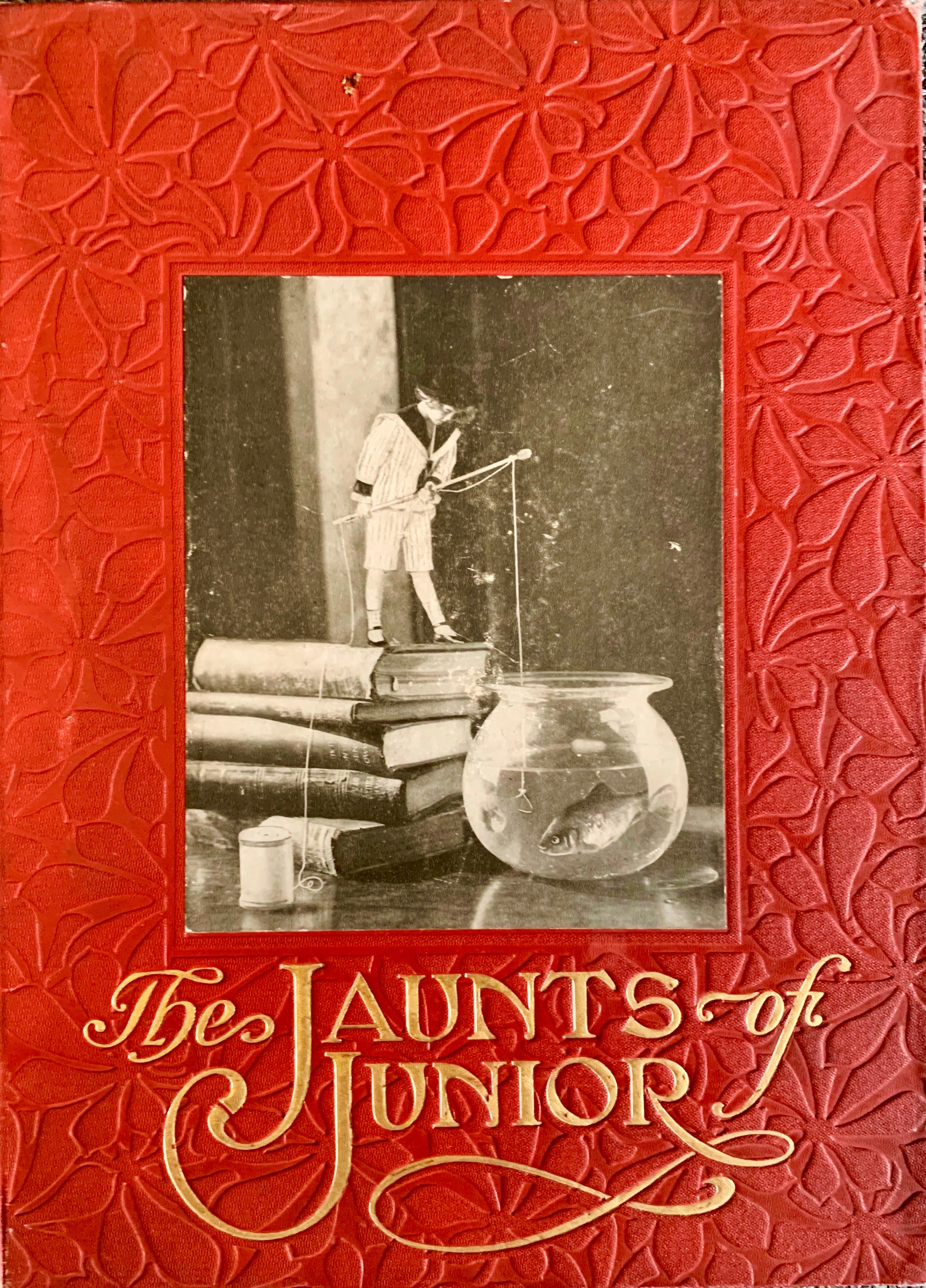 The Jaunts of Junior (Hardcover)