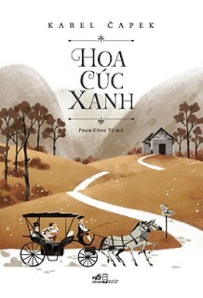 Hoa cúc xanh