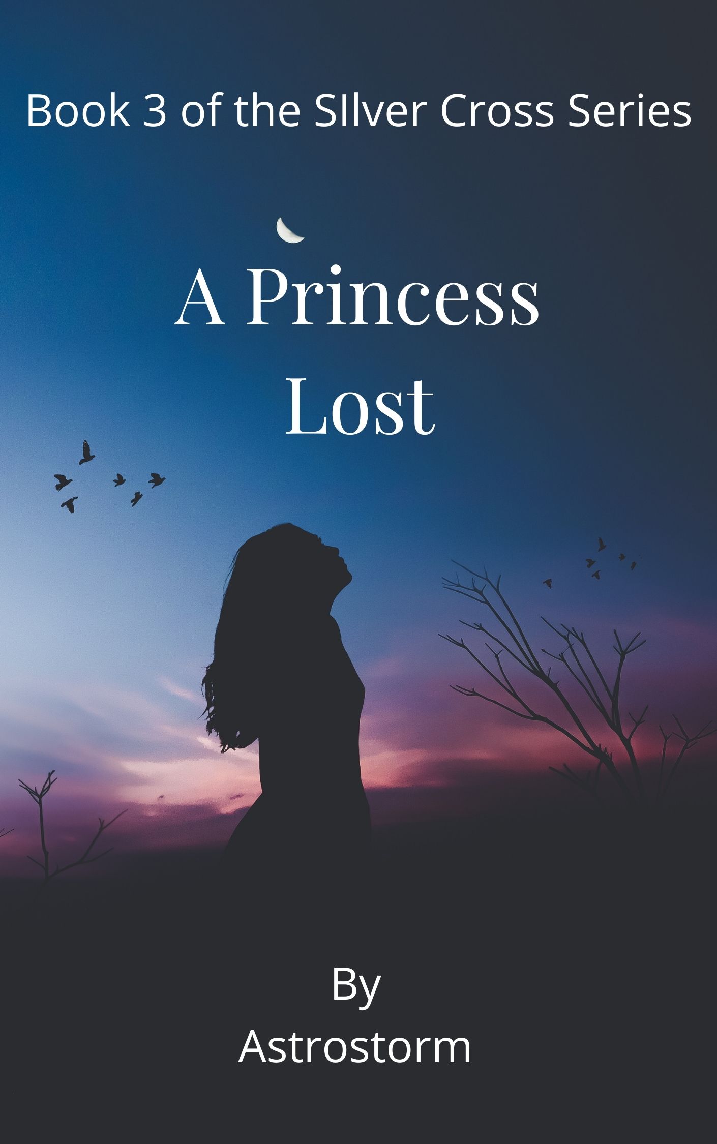 A Princess Lost (Silver Cross #3)