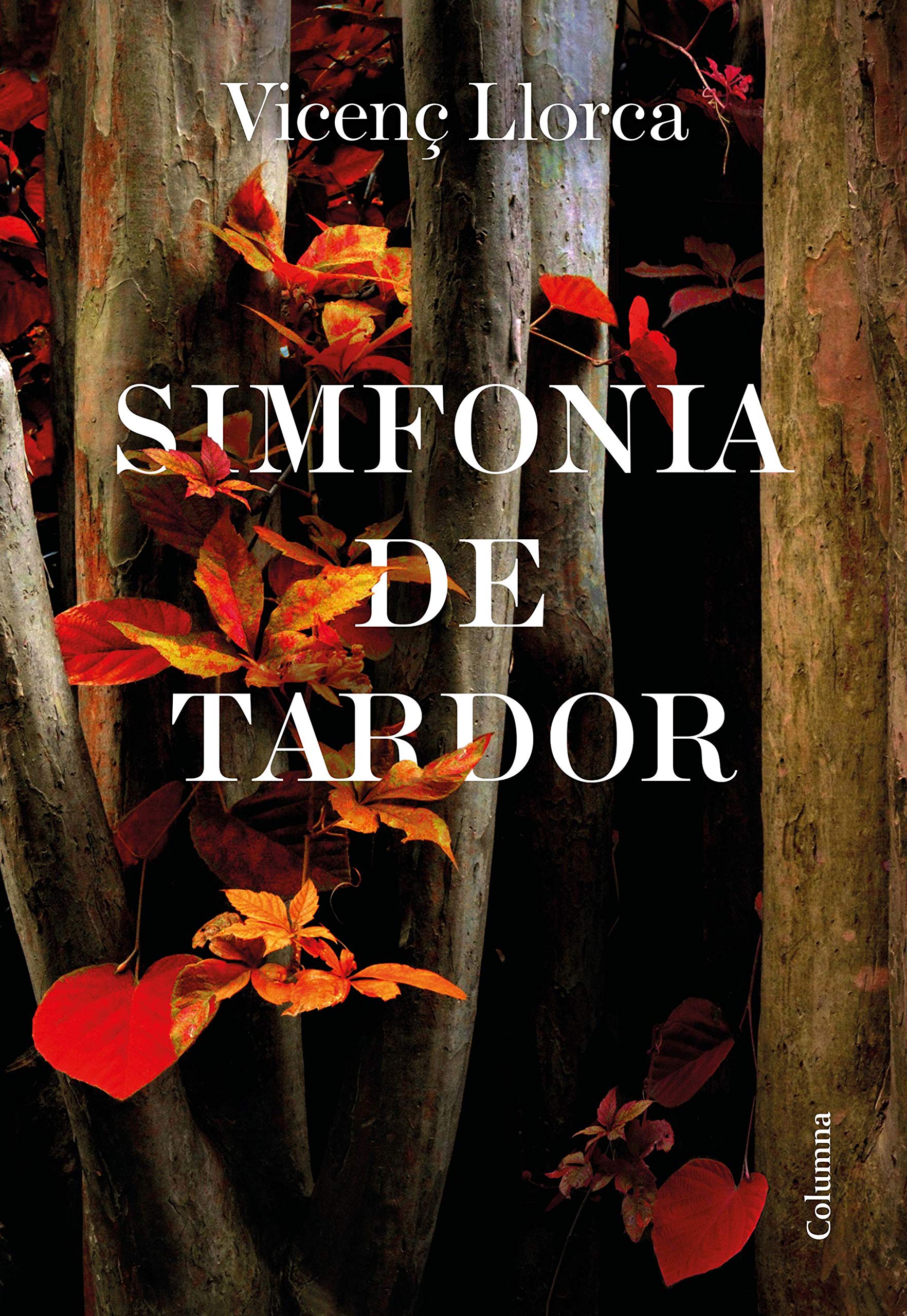 Portada de Simfonia de tardor, de Vicenç Llorca