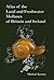Atlas of Land and Freshwater Molluscs of Britain and Ireland